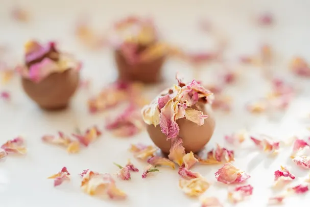 Kazino Vegas Spins Android/iOS Lietotne